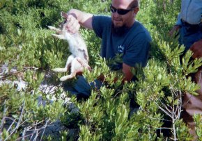 South Jersey Snaring School